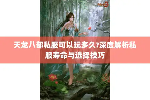 天龙八部私服可以玩多久?深度解析私服寿命与选择技巧