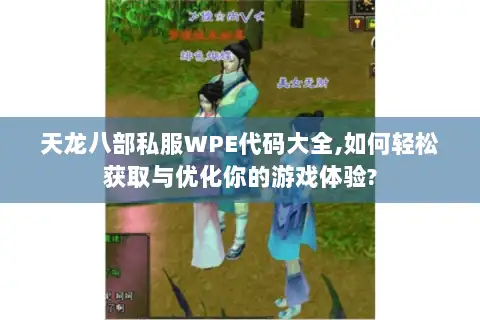 天龙八部私服WPE代码大全,如何轻松获取与优化你的游戏体验?
