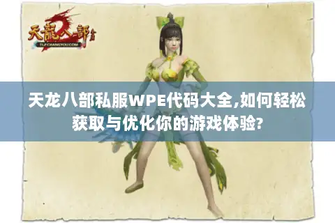 天龙八部私服WPE代码大全,如何轻松获取与优化你的游戏体验?