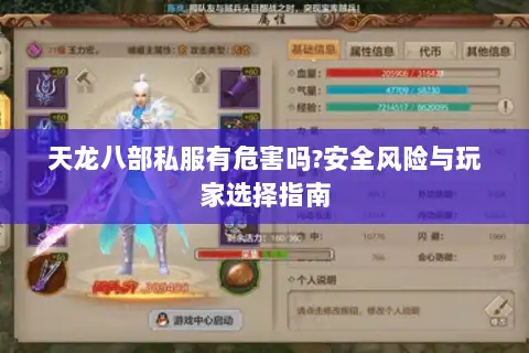 天龙八部私服有危害吗?安全风险与玩家选择指南