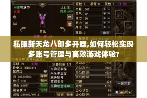 私服新天龙八部多开器,如何轻松实现多账号管理与高效游戏体验?