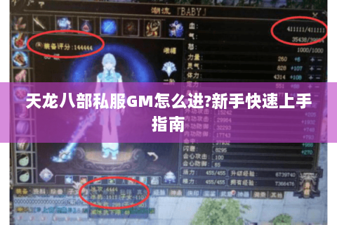 天龙八部私服GM怎么进?新手快速上手指南 天龙八部私服GM怎么进?新手快速上手指南