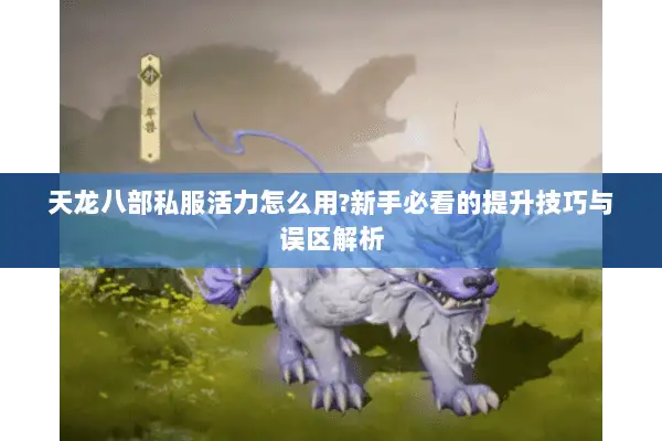 天龙八部私服活力怎么用?新手必看的提升技巧与误区解析