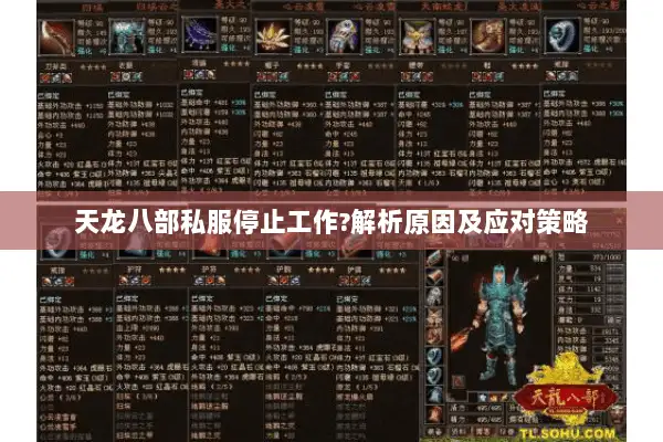 天龙八部私服停止工作?解析原因及应对策略