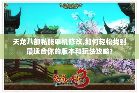 天龙八部私服单机修改,如何轻松找到最适合你的版本和玩法攻略?