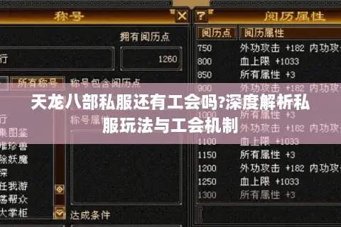 天龙八部私服还有工会吗?深度解析私服玩法与工会机制