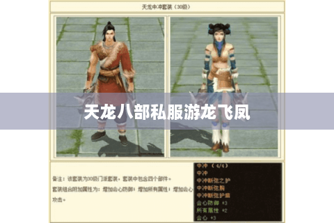 天龙八部私服游龙飞凤