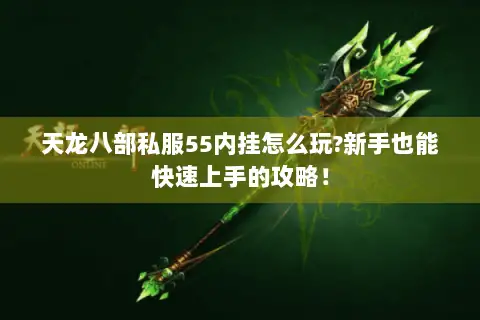 天龙八部私服55内挂怎么玩?新手也能快速上手的攻略！