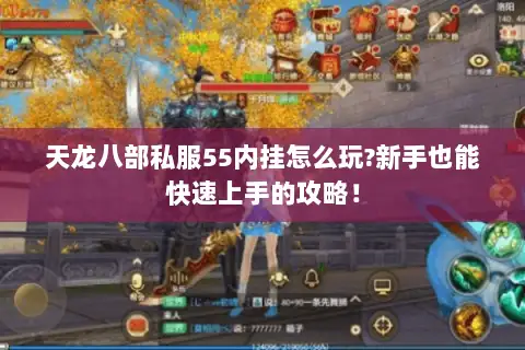 天龙八部私服55内挂怎么玩?新手也能快速上手的攻略！