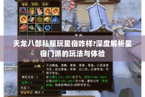 天龙八部私服玩星宿咋样?深度解析星宿门派的玩法与体验