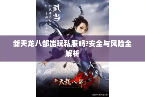 新天龙八部能玩私服吗?安全与风险全解析