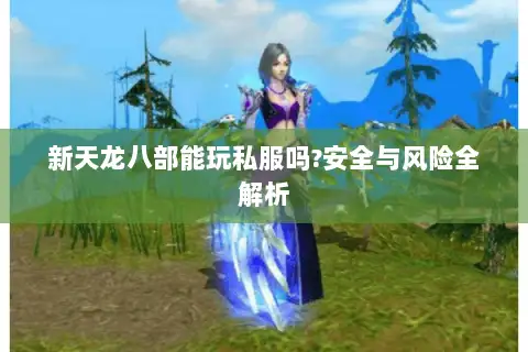 新天龙八部能玩私服吗?安全与风险全解析