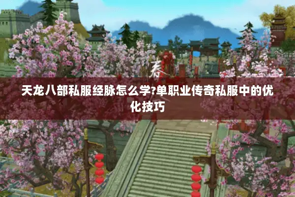 天龙八部私服经脉怎么学?单职业传奇私服中的优化技巧