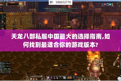 天龙八部私服中国最大的选择指南,如何找到最适合你的游戏版本?