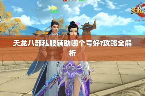 天龙八部私服辅助哪个号好?攻略全解析