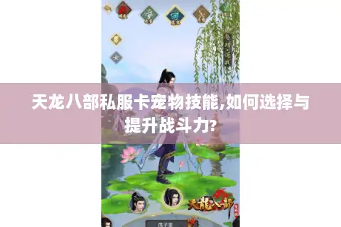天龙八部私服卡宠物技能,如何选择与提升战斗力?