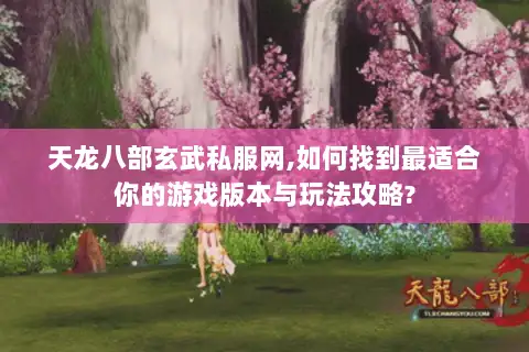 天龙八部玄武私服网,如何找到最适合你的游戏版本与玩法攻略?
