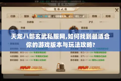 天龙八部玄武私服网,如何找到最适合你的游戏版本与玩法攻略?