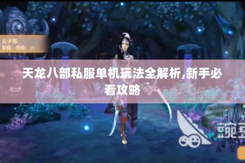 天龙八部私服单机玩法全解析,新手必看攻略 天龙八部私服单机玩法全解析,新手必看攻略