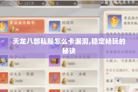 天龙八部私服怎么卡漏洞,稳定畅玩的秘诀