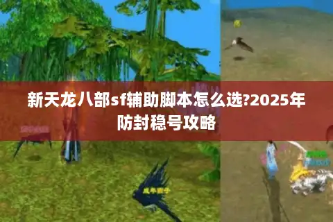 新天龙八部sf辅助脚本怎么选?2025年防封稳号攻略