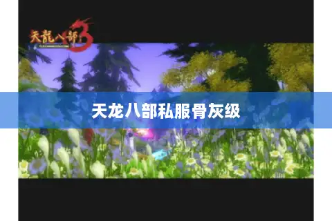 天龙八部私服骨灰级