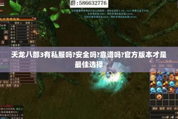 天龙八部3有私服吗?安全吗?靠谱吗?官方版本才是最佳选择 天龙八部3有私服吗?安全吗?靠谱吗?官方版本才是最佳选择