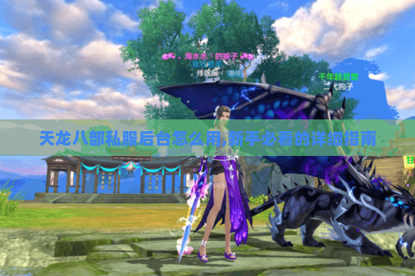 天龙八部私服后台怎么用,新手必看的详细指南