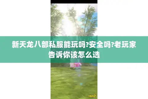 新天龙八部私服能玩吗?安全吗?老玩家告诉你该怎么选