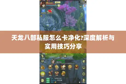 天龙八部私服怎么卡净化?深度解析与实用技巧分享