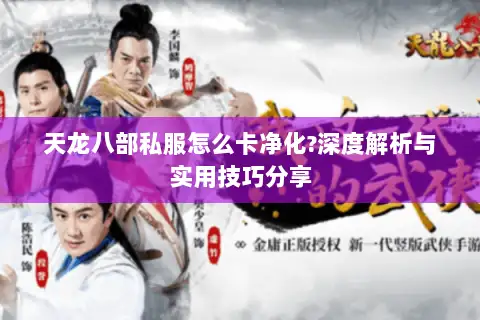 天龙八部私服怎么卡净化?深度解析与实用技巧分享