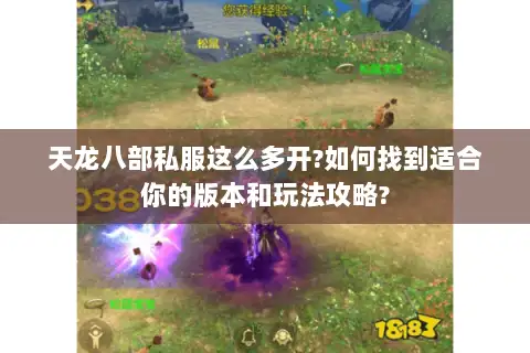 天龙八部私服这么多开?如何找到适合你的版本和玩法攻略? 天龙八部私服这么多开?如何找到适合你的版本和玩法攻略?