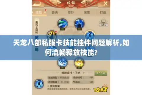 天龙八部私服卡技能挂件问题解析,如何流畅释放技能?