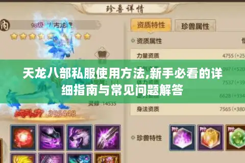 天龙八部私服使用方法,新手必看的详细指南与常见问题解答 天龙八部私服使用方法,新手必看的详细指南与常见问题解答