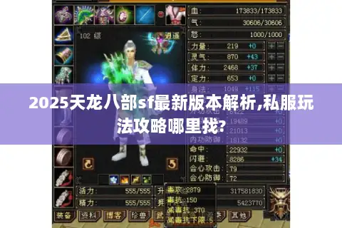 2025天龙八部sf最新版本解析,私服玩法攻略哪里找?