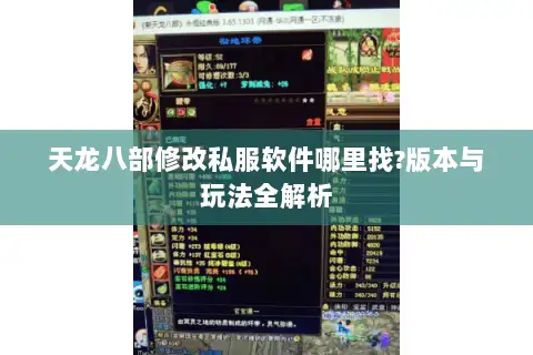 天龙八部修改私服软件哪里找?版本与玩法全解析
