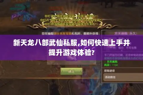 新天龙八部武仙私服,如何快速上手并提升游戏体验? 新天龙八部武仙私服,如何快速上手并提升游戏体验?