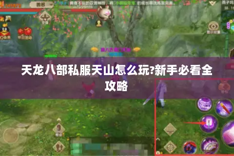天龙八部私服天山怎么玩?新手必看全攻略 天龙八部私服天山怎么玩?新手必看全攻略