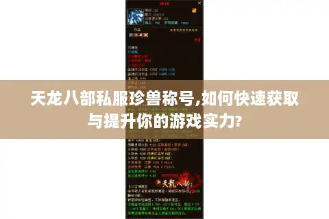天龙八部私服珍兽称号,如何快速获取与提升你的游戏实力?