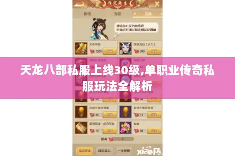 天龙八部私服上线30级,单职业传奇私服玩法全解析 天龙八部私服上线30级,单职业传奇私服玩法全解析