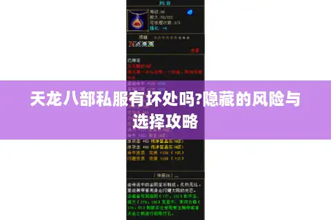 天龙八部私服有坏处吗?隐藏的风险与选择攻略