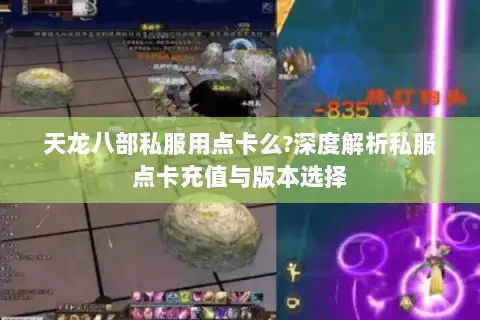 天龙八部私服用点卡么?深度解析私服点卡充值与版本选择