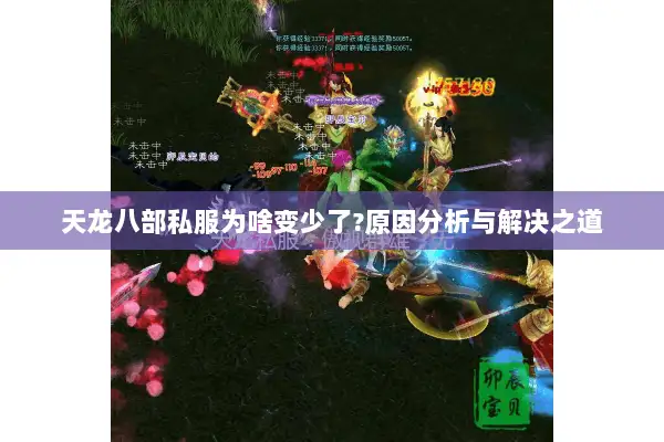 天龙八部私服为啥变少了?原因分析与解决之道