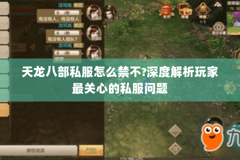 天龙八部私服怎么禁不?深度解析玩家最关心的私服问题