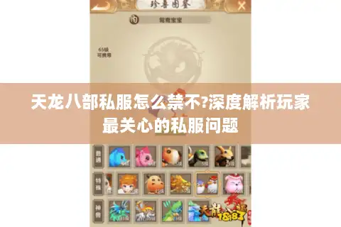 天龙八部私服怎么禁不?深度解析玩家最关心的私服问题
