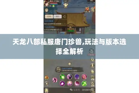 天龙八部私服唐门珍兽,玩法与版本选择全解析