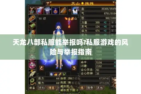 天龙八部私服能举报吗?私服游戏的风险与举报指南 天龙八部私服能举报吗?私服游戏的风险与举报指南
