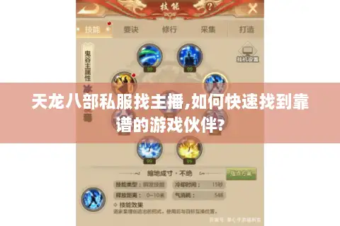 天龙八部私服找主播,如何快速找到靠谱的游戏伙伴?