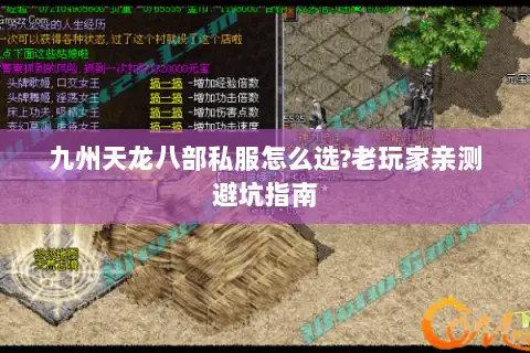 九州天龙八部私服怎么选?老玩家亲测避坑指南 九州天龙八部私服怎么选?老玩家亲测避坑指南