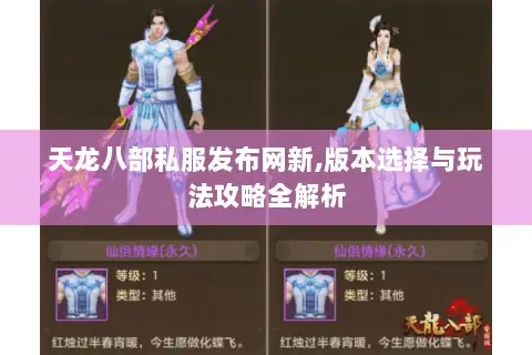天龙八部私服发布网新,版本选择与玩法攻略全解析